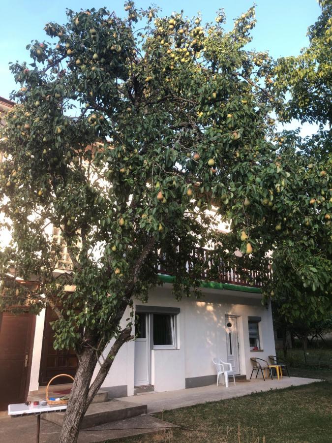 Guesthouse D&D Licko Petrovo Selo Eksteriør bilde