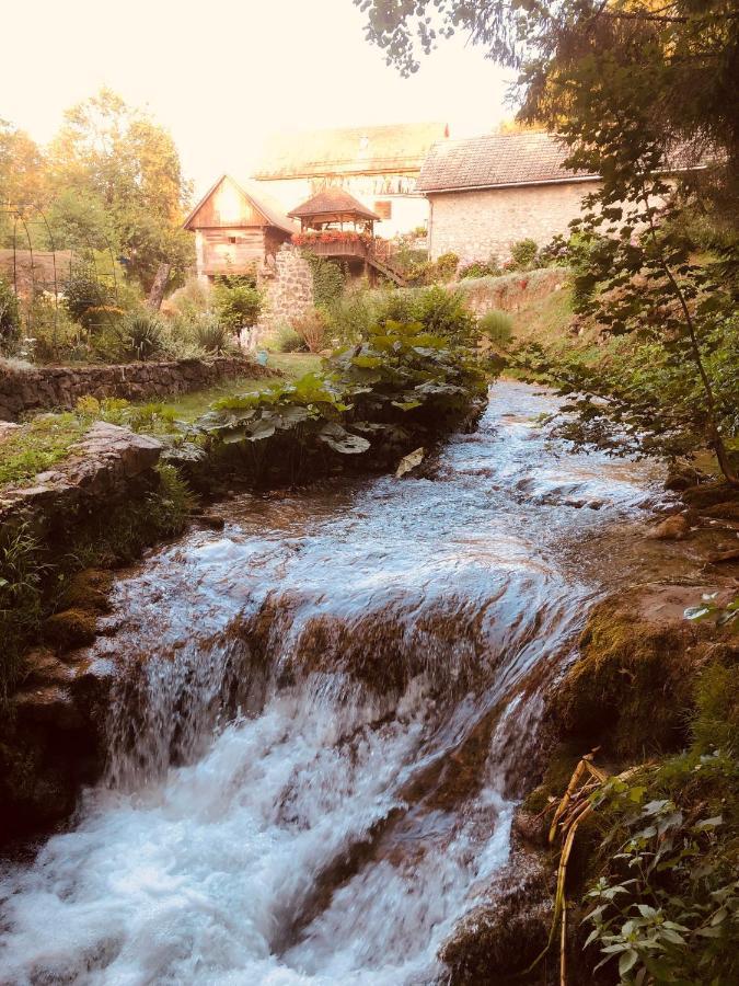 Guesthouse D&D Licko Petrovo Selo Eksteriør bilde